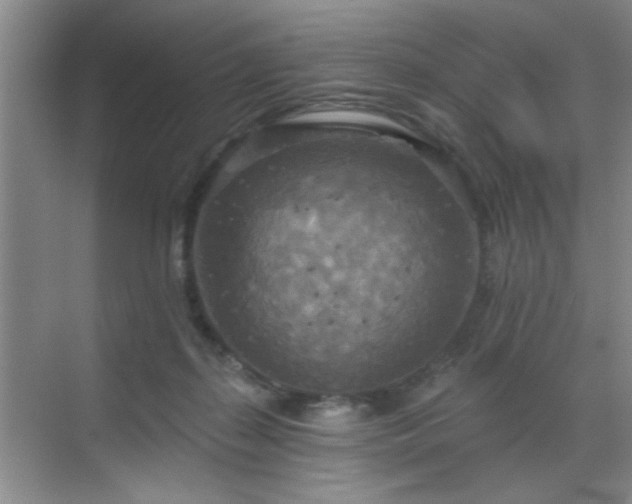 X0000070360267200606121217