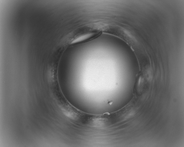 X0000070360268200606121217