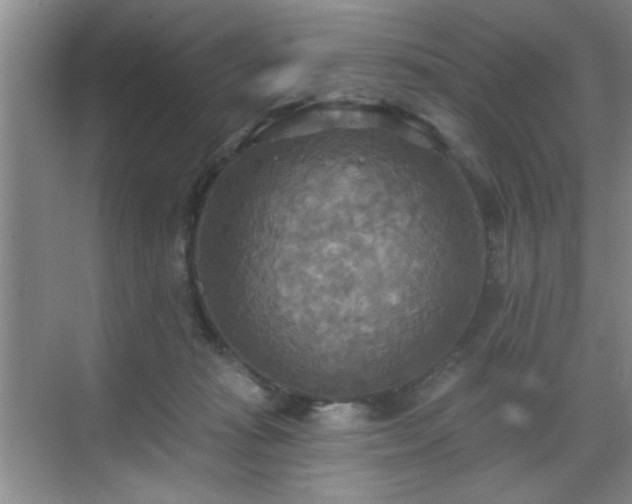 X0000070360269200606121217