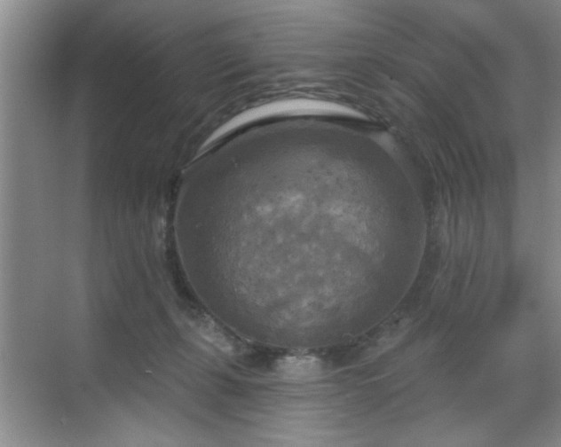 X0000070360271200606121217