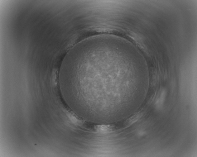 X0000070360273200606121217