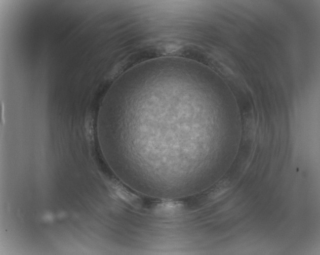 X0000070360274200606121217