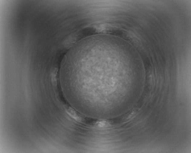 X0000070360275200606121217