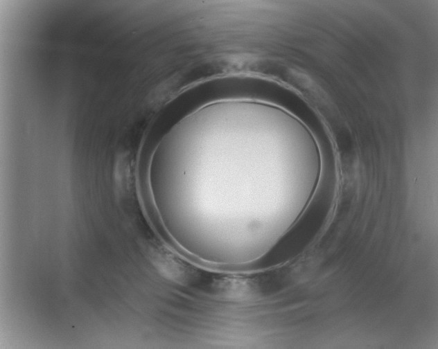 X0000070360276200606121217