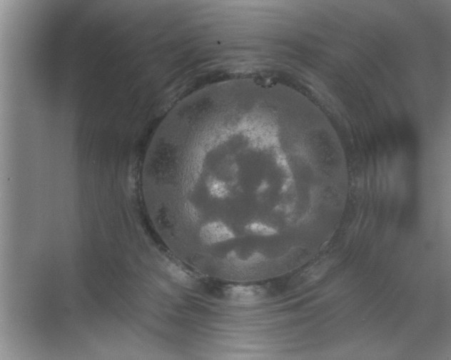 X0000070360277200606121217