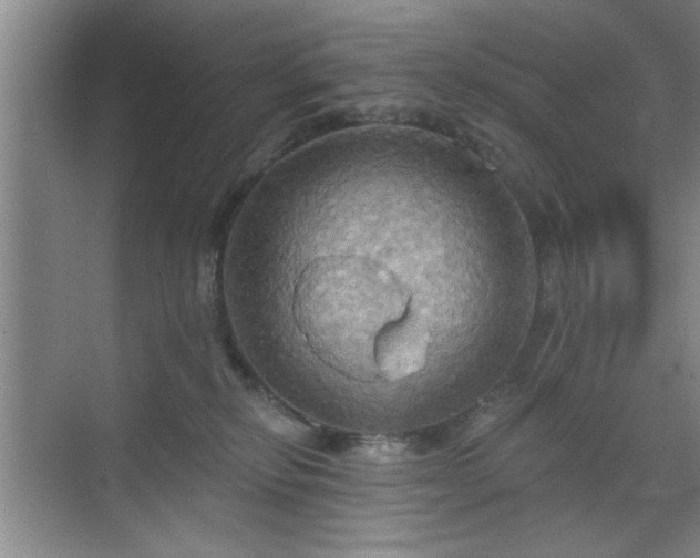 X0000070360278200606121217