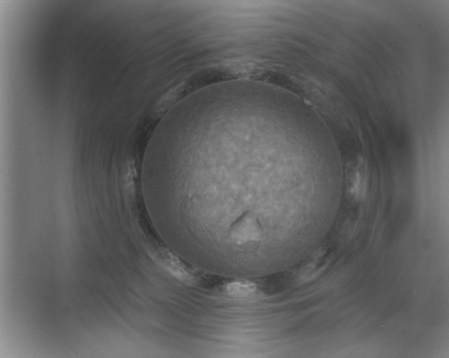 X0000070360279200606121217