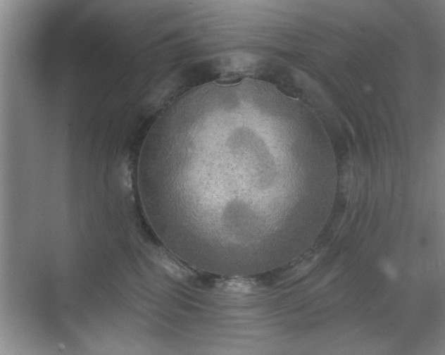 X0000070360282200606121217