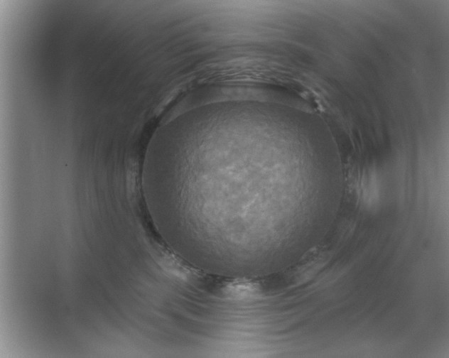 X0000070360283200606121217