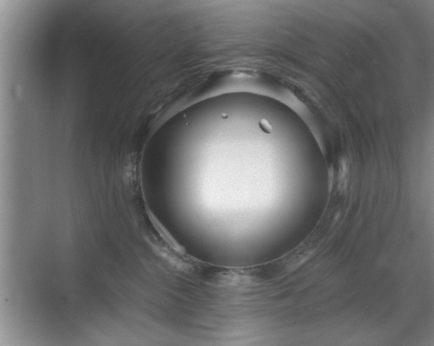 X0000070360284200606121217