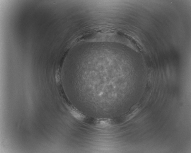 X0000070360285200606121217