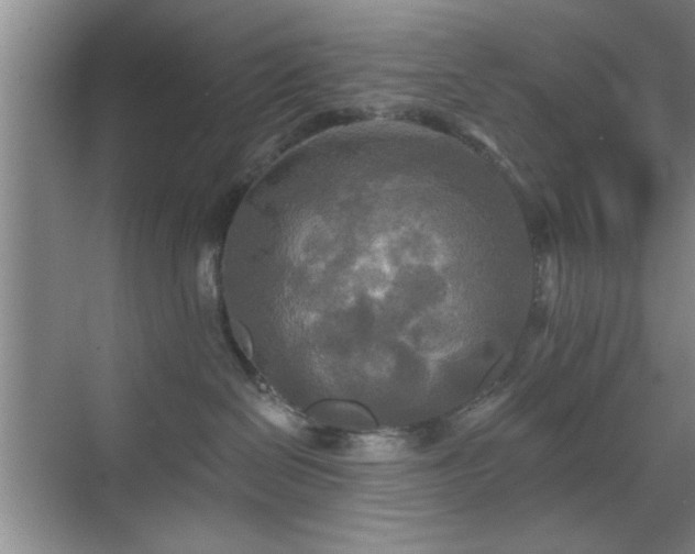 X0000070360286200606121217