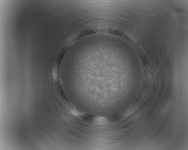 X0000070360287200606121217