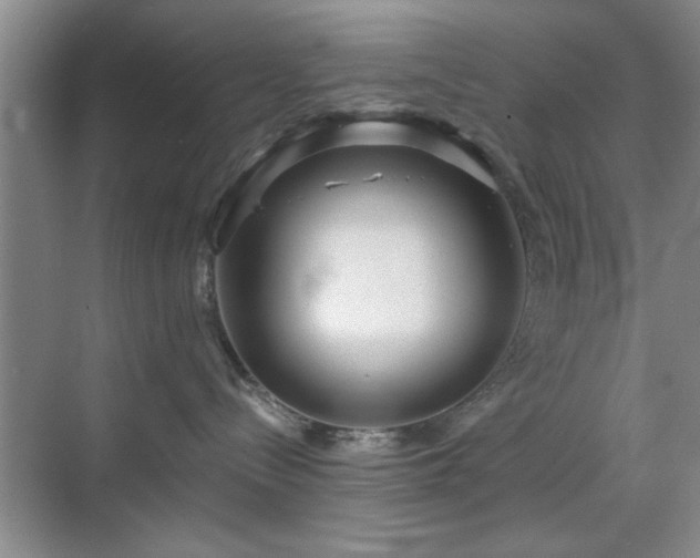 X0000070360288200606121217