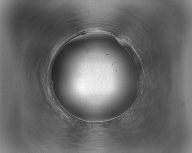 X0000070360289200606121216