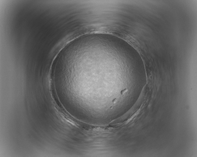 X0000070360290200606121216