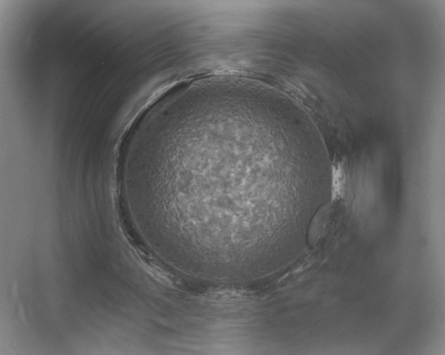 X0000070360291200606121216