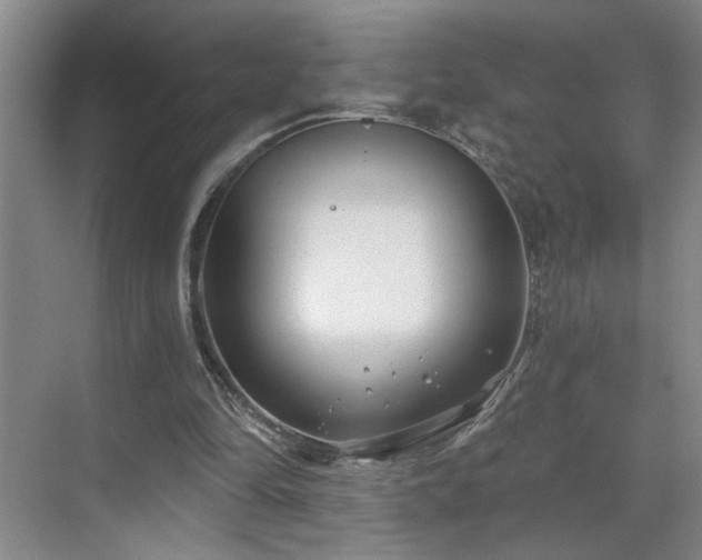 X0000070360294200606121216