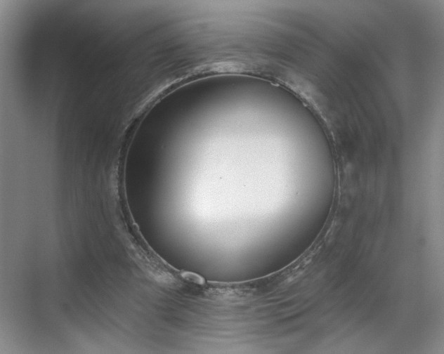 X0000070360297200606121216