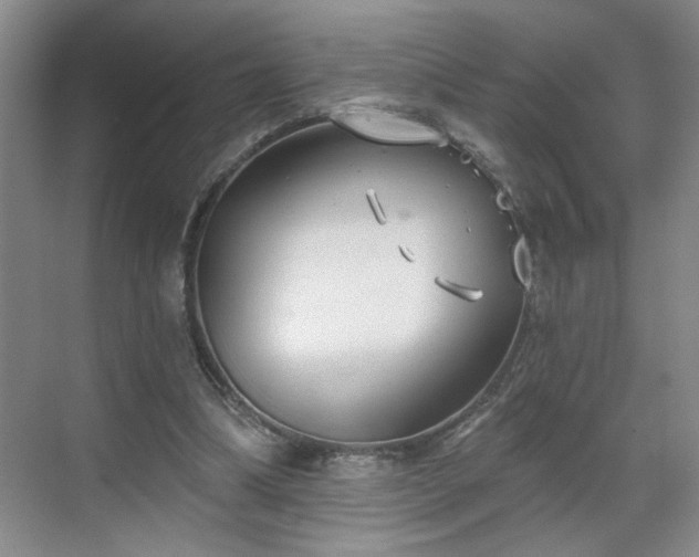 X0000070360298200606121216