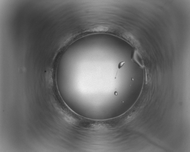 X0000070360300200606121216