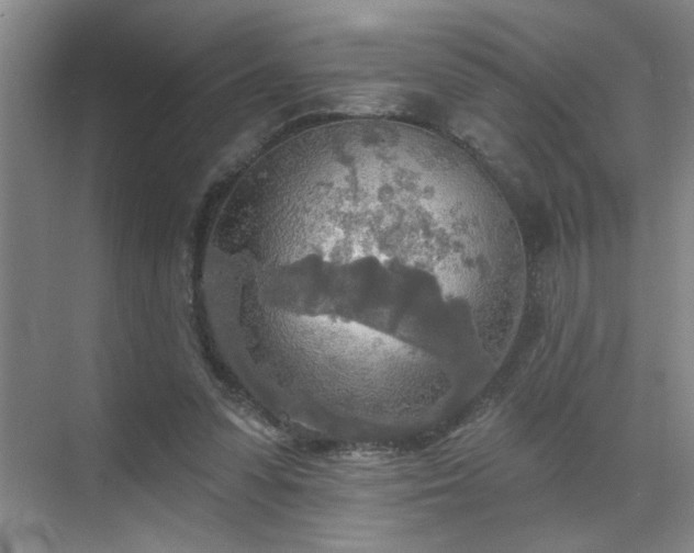 X0000070360303200606121216