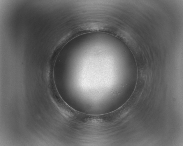 X0000070360304200606121216