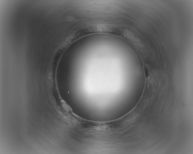 X0000070360306200606121216