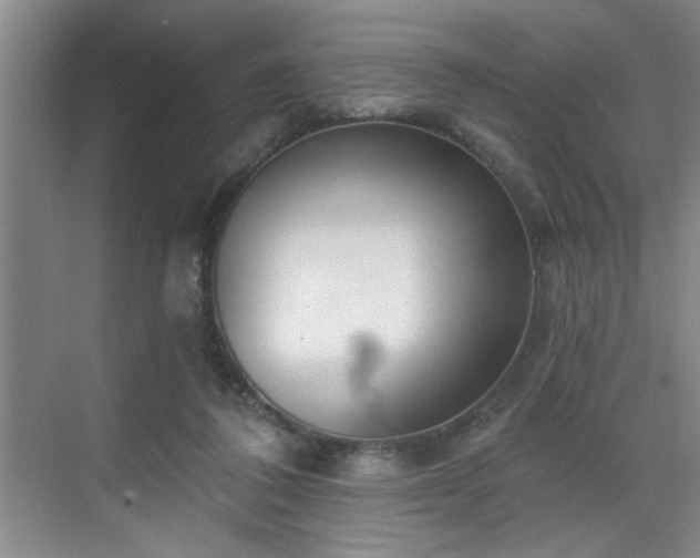 X0000070360308200606121216