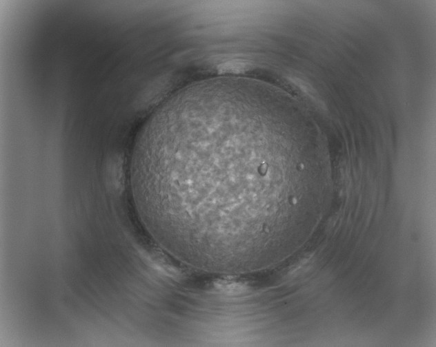 X0000070360311200606121216