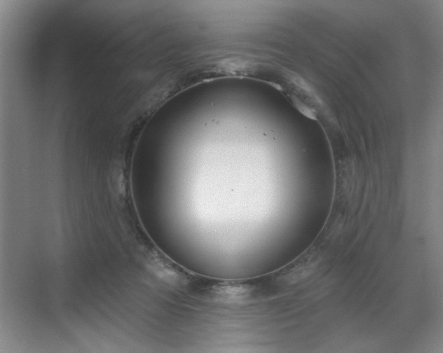 X0000070360313200606121216