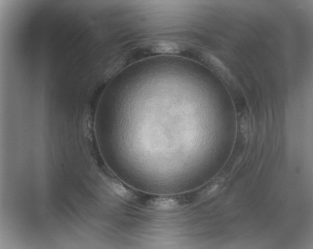 X0000070360322200606121216