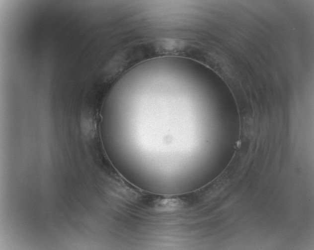 X0000070360324200606121216