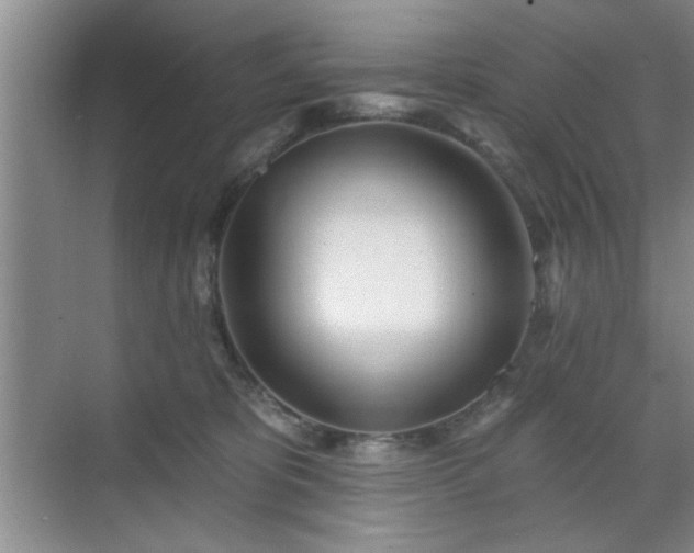 X0000070360325200606121216