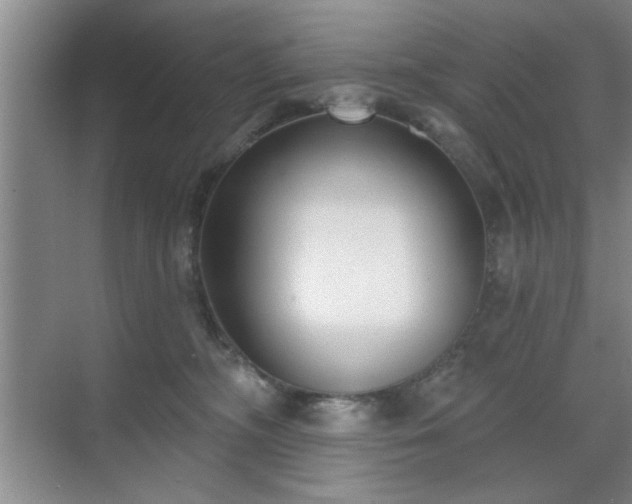 X0000070360326200606121216