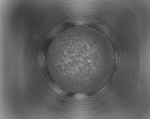 X0000070360327200606121216