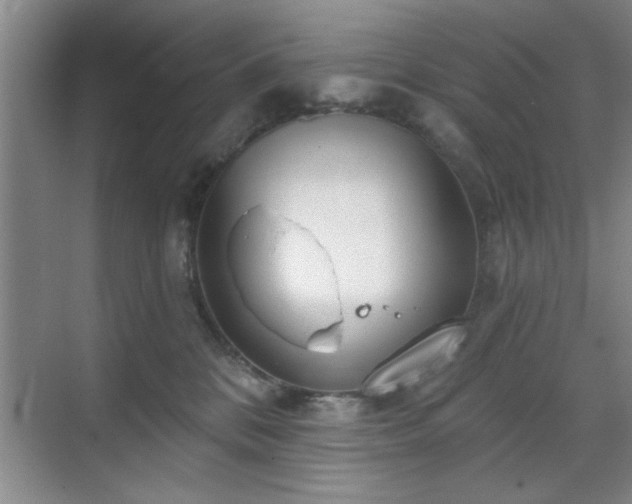 X0000070360328200606121216