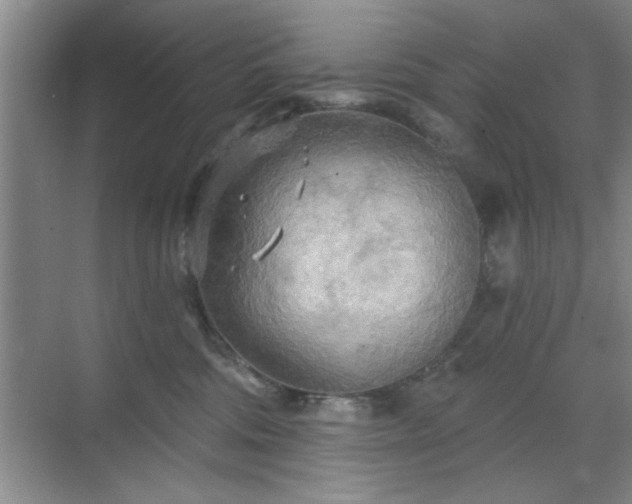 X0000070360330200606121216