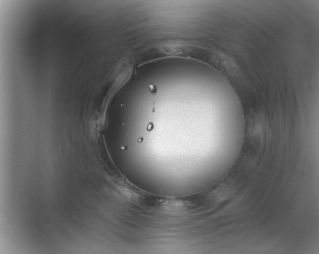 X0000070360332200606121216