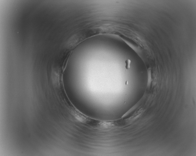 X0000070360333200606121216