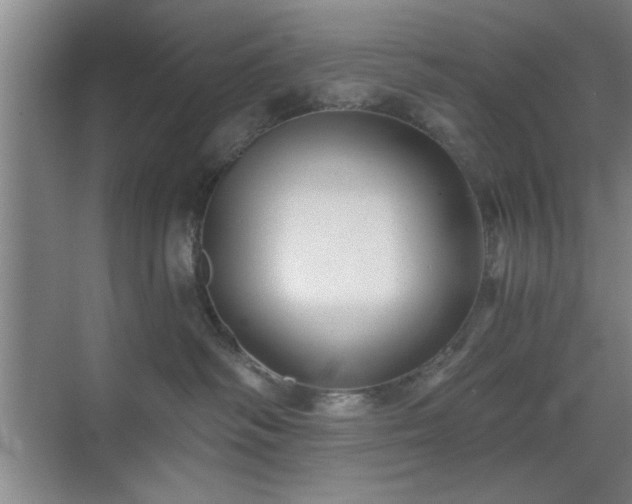 X0000070360334200606121216