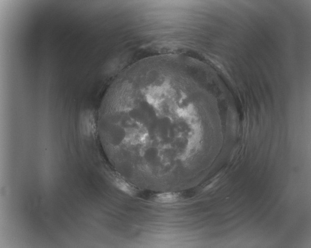 X0000070360335200606121216