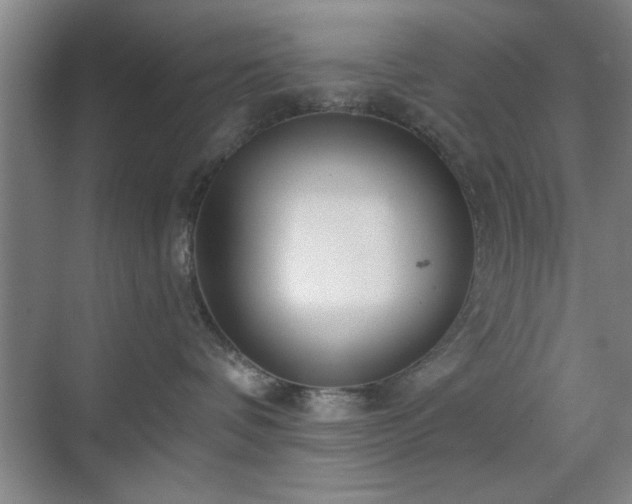 X0000070360336200606121216