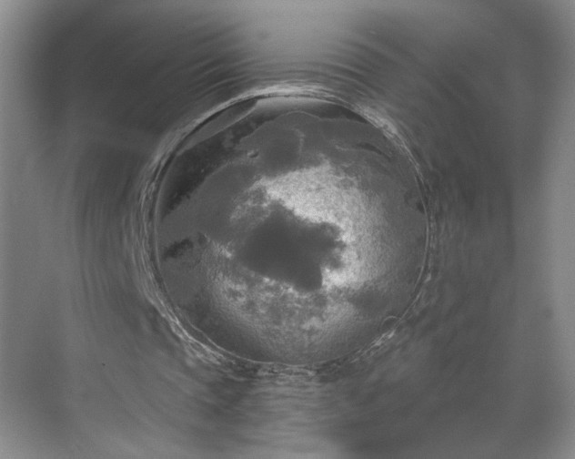 X0000070360337200606121215