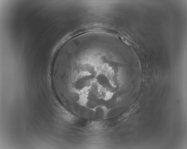 X0000070360341200606121215