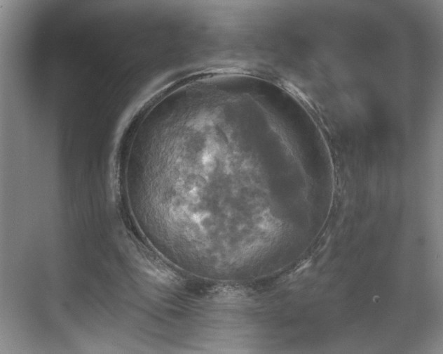 X0000070360343200606121215