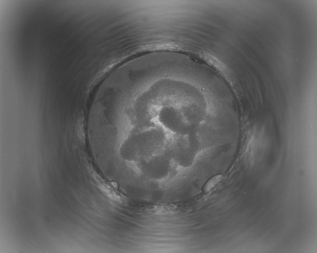 X0000070360345200606121215