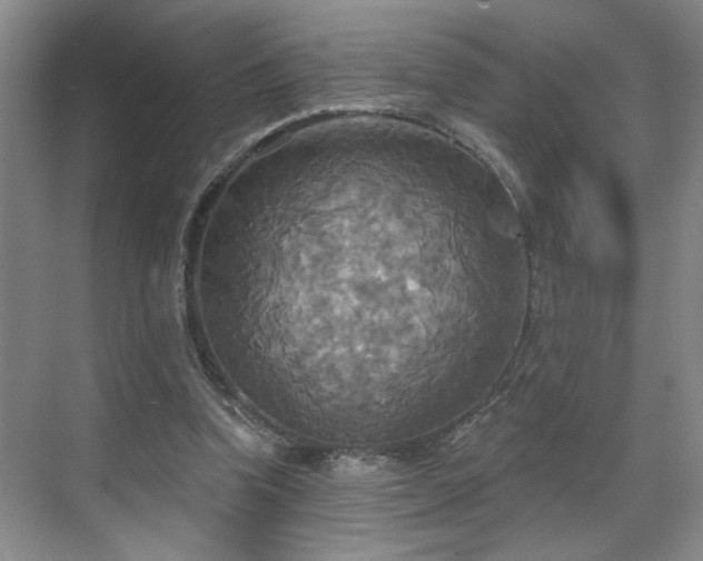 X0000070360346200606121215