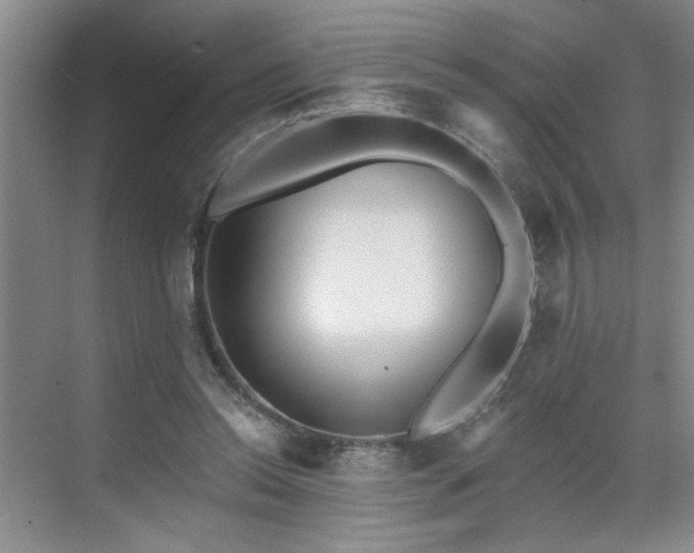 X0000070360350200606121215