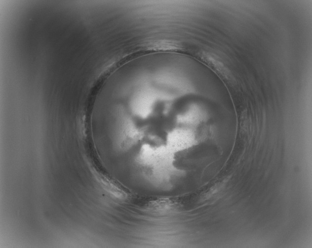 X0000070360351200606121215